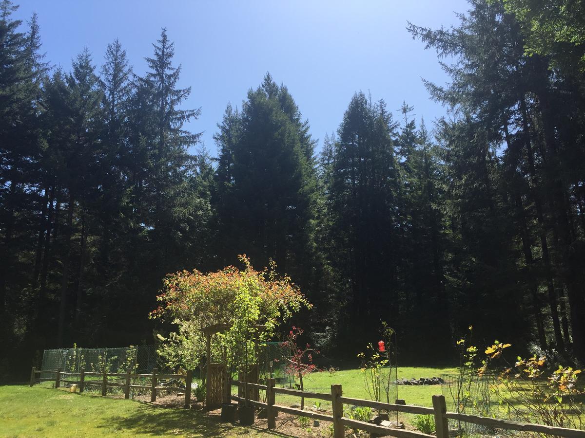 Redwood Forest Crescent City Eksteriør billede